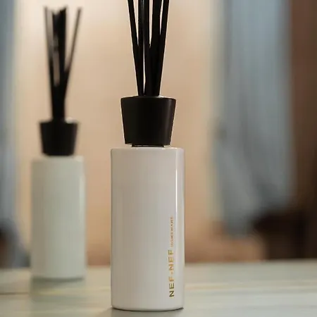Tresor Art Boutique Hotel
